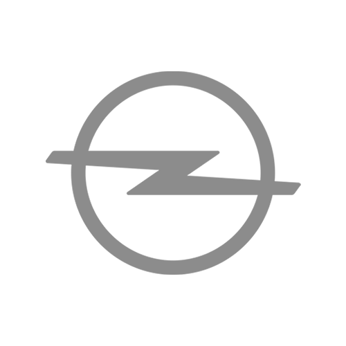 Logomodul opel 1
