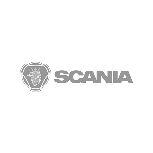 Logomodul scania 1