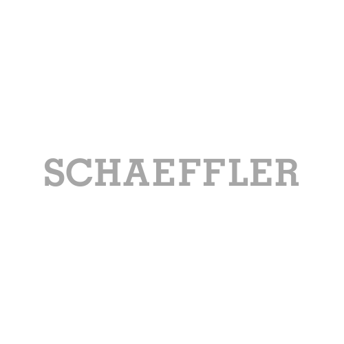 Logomodul schaeffler 2