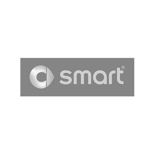 Logomodul smart 2