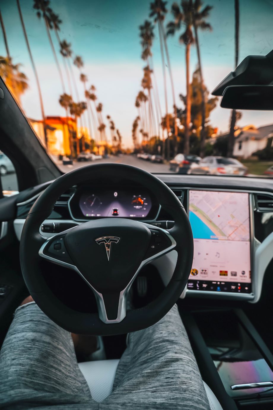 Tesla Cockpit